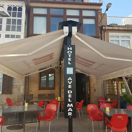 Hotel Ave Del Mar *